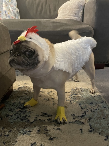 Winnie