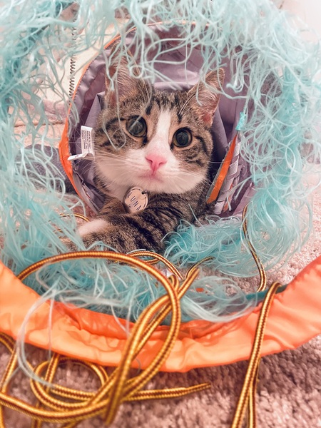 Luna