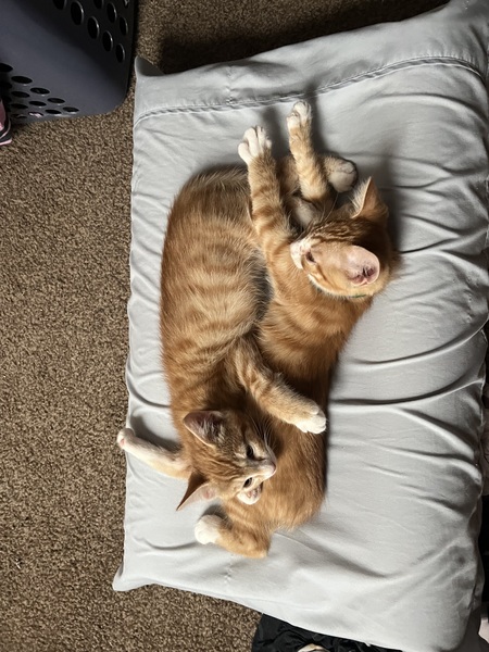 Seven and Tony