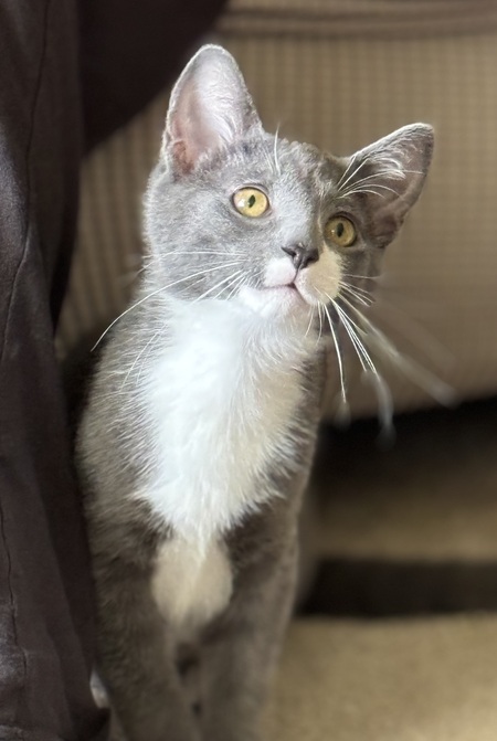 Smudge