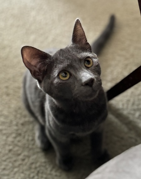 Oscar