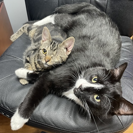 Sadie & Reese