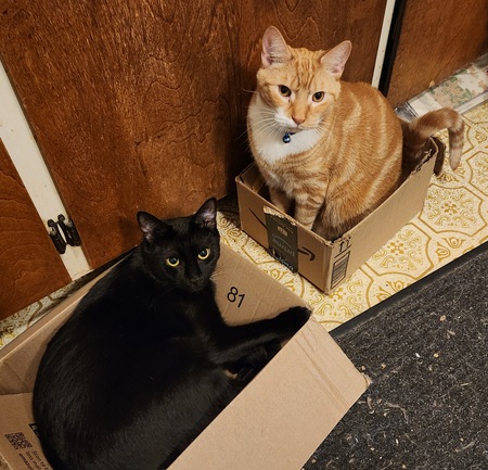 Pepper Jack & Spike