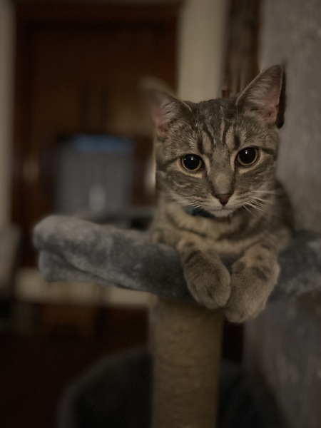 Parker