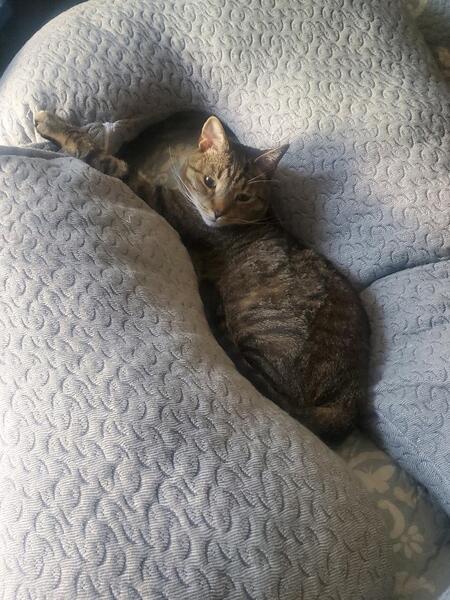 Sammy