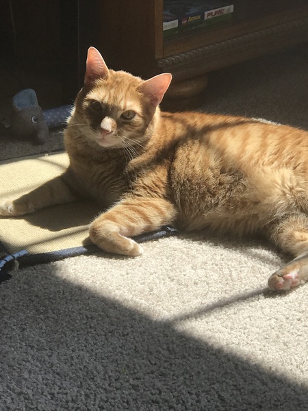 Oliver