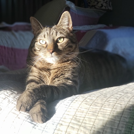Cooper