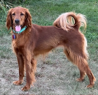 Fiona