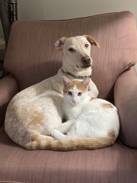 Farley and Malachi