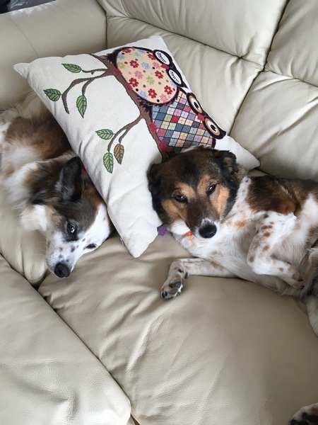 Rita Roo & Ellie May