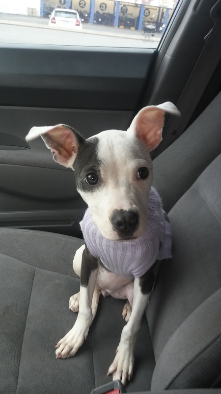 Lacie