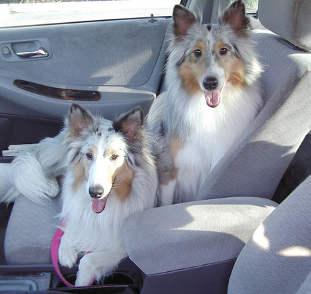 Shelby and Cody