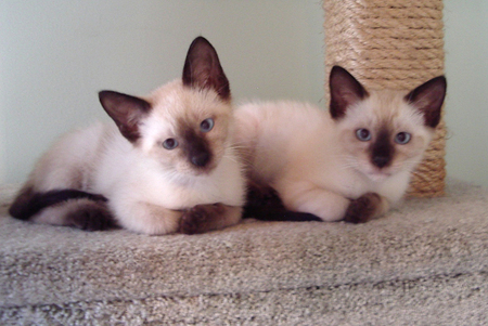 Rick and Steve