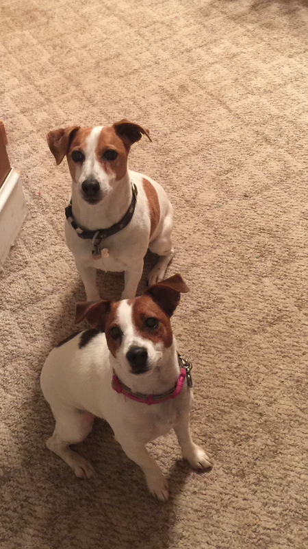 Forester & Molly