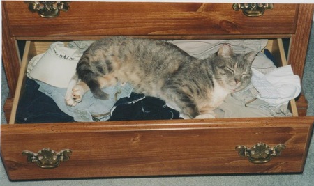 Mollie Brown