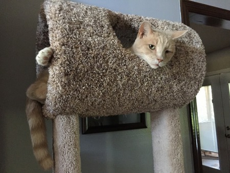 Tigger
