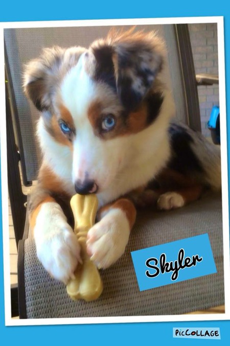 Skyler