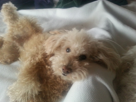 Rusty