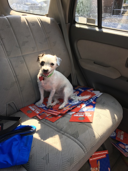 Mr. Peabody