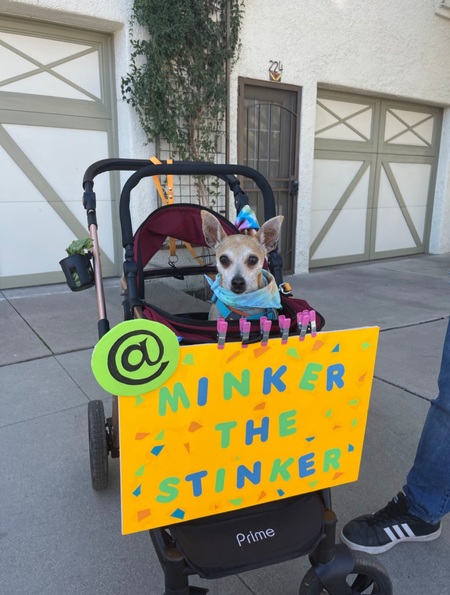 Minker the Stinker