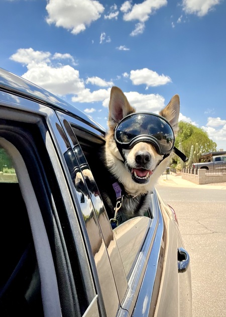 Balto
