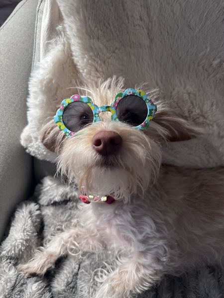 Chloe 