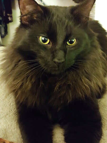 Trix