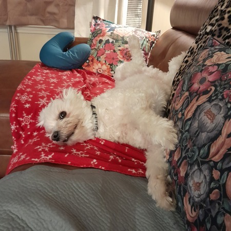 Benji Smiles and the World is filled with Love!