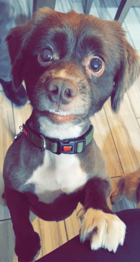 Levi 