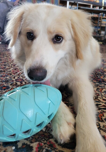 Maggie