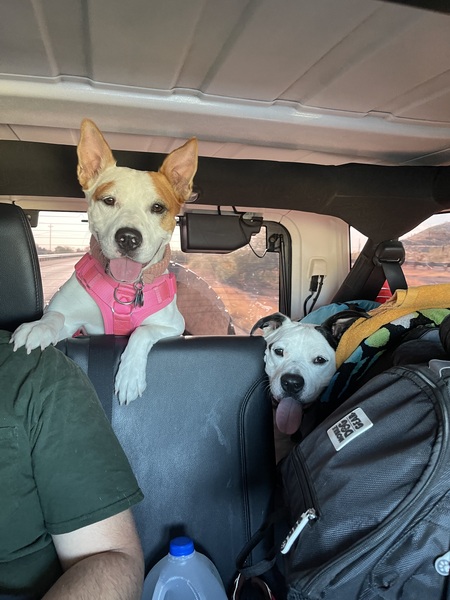 Ari and Sloan 