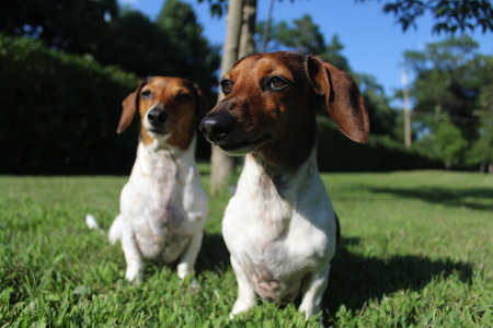 Willy and Tilly
