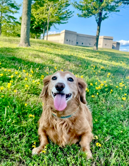 Rosie