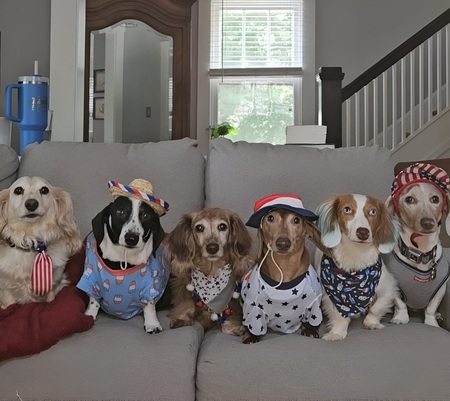 Butter, Dennis, Dash, Hiccup, Keller, Jupiter 
