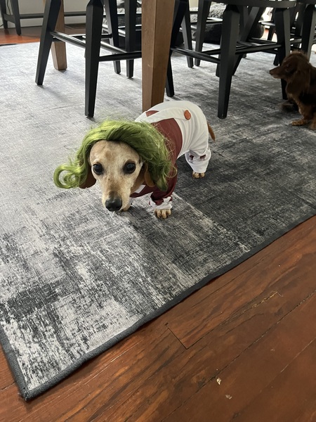 Marley