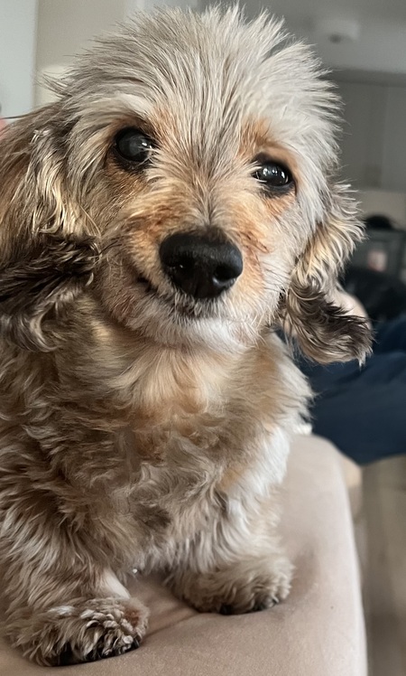 Cooper 