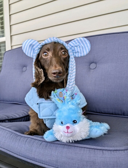 SCOOBY