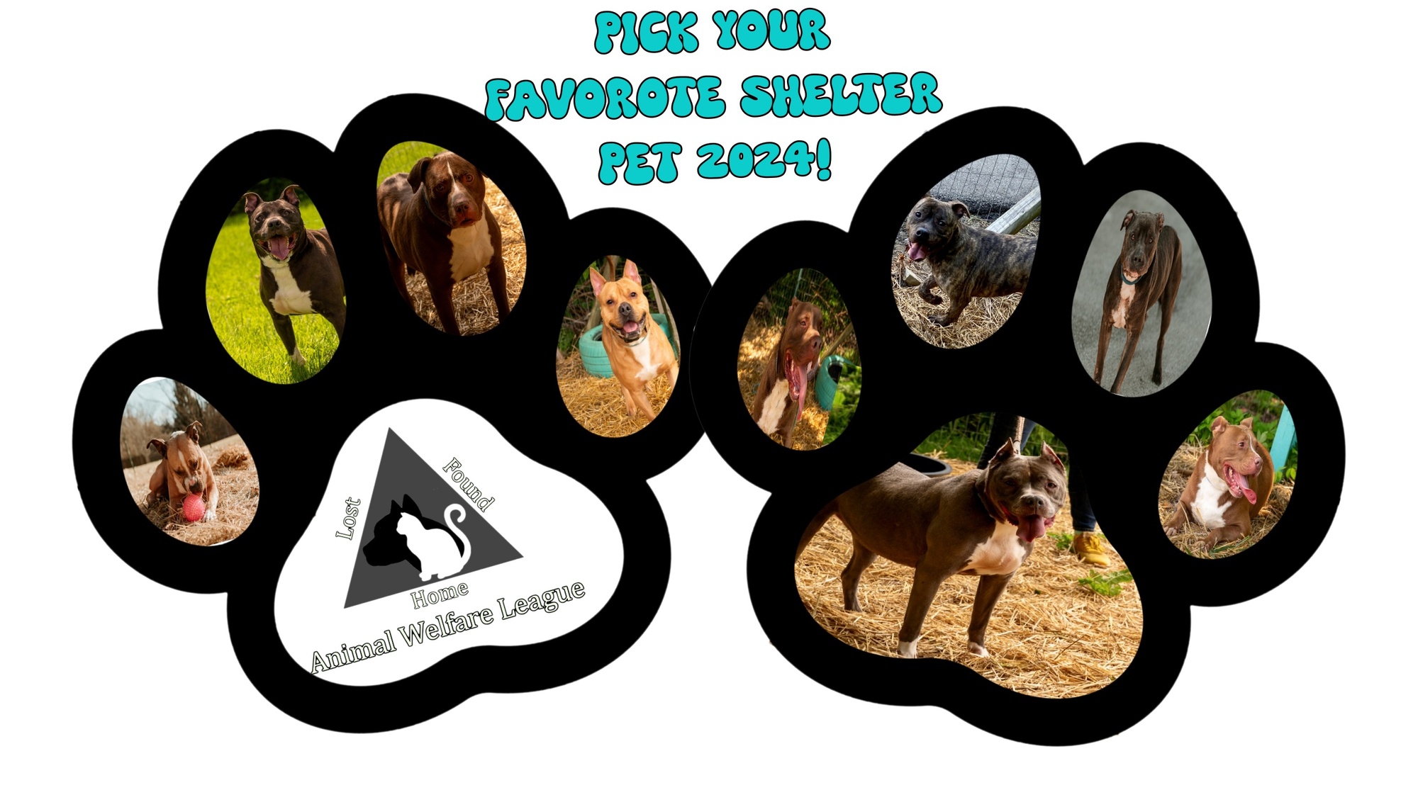 Banner for Pick Your Favorite Shelter Pet 2024