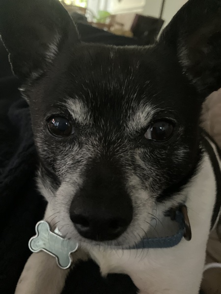 Cooper
