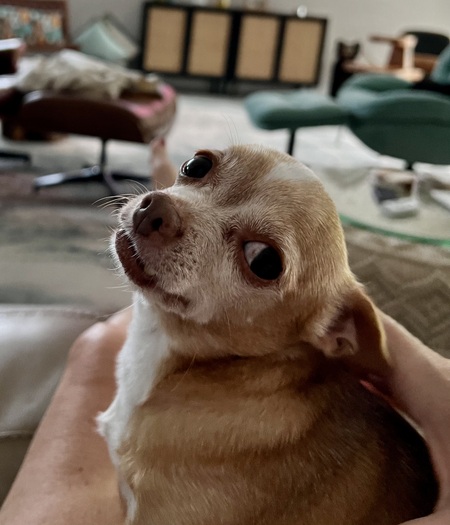 Peanut