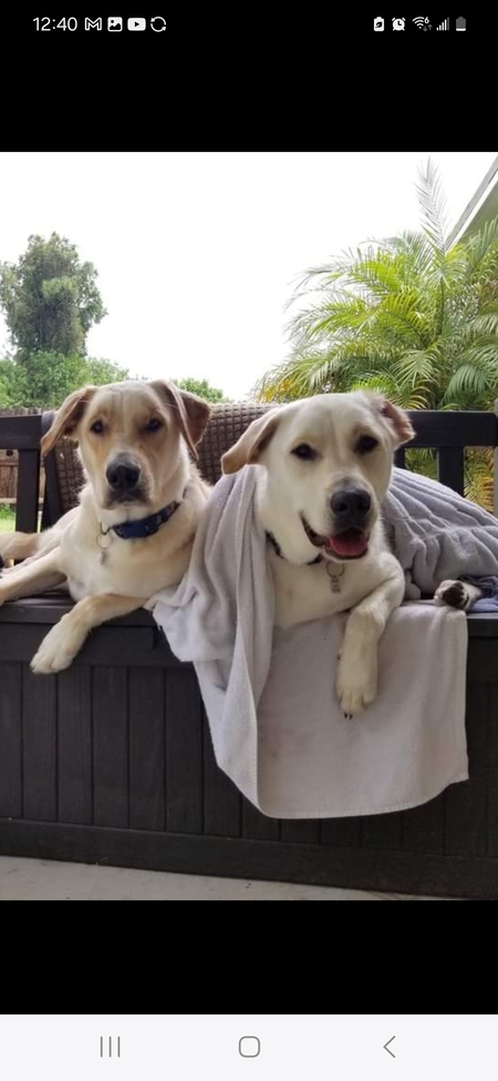 Cubbie and Mickey 