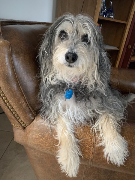 Maggie