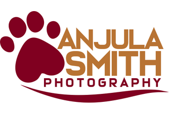 https://www.anjulasmith.com/