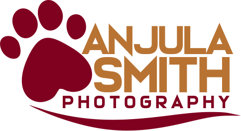 https://www.anjulasmith.com/