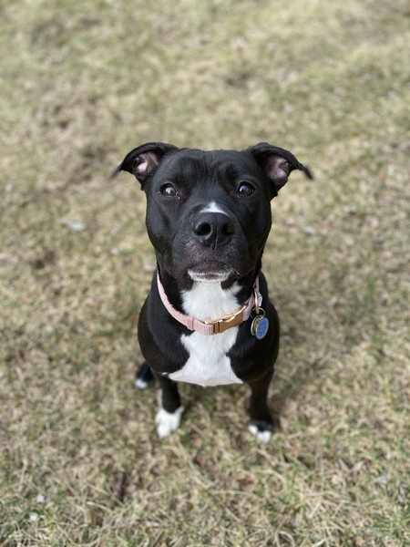 Greta