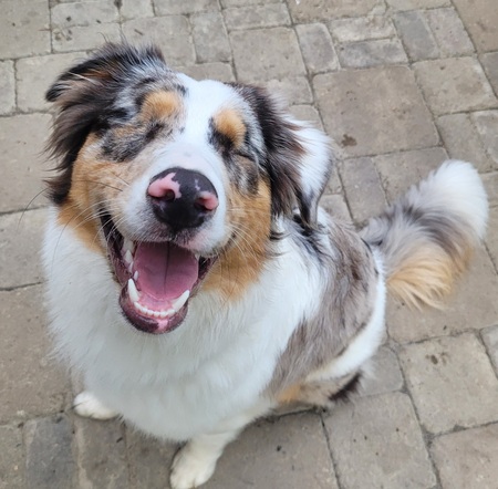 Ruger
