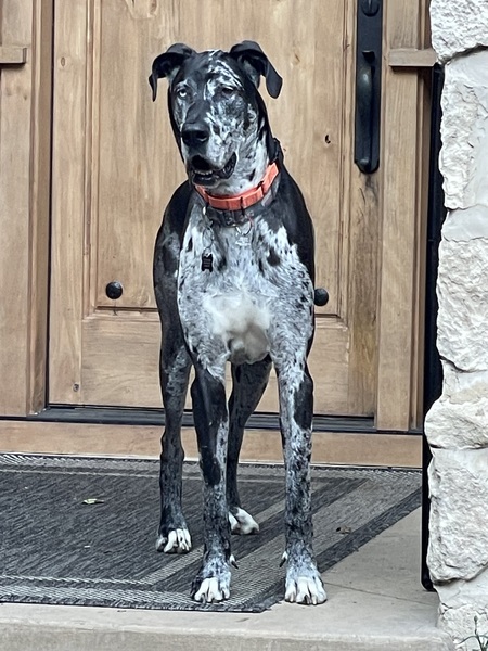 Ryker