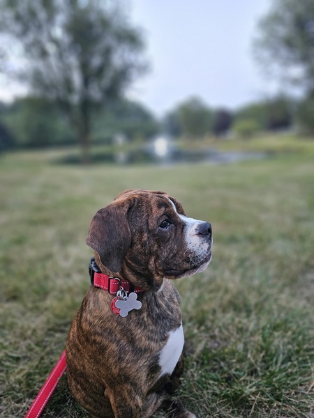 Gimli