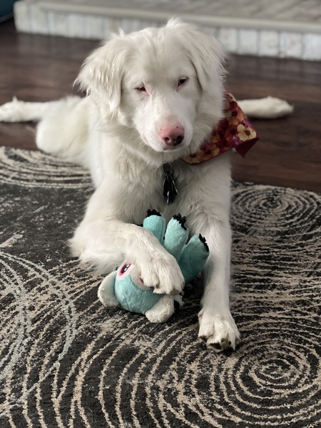 Delilah