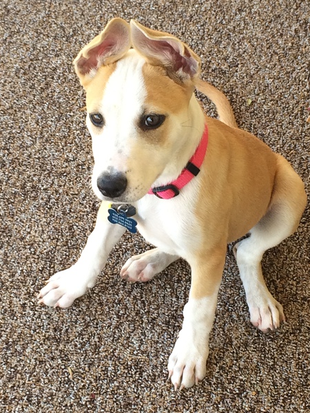 Chloe